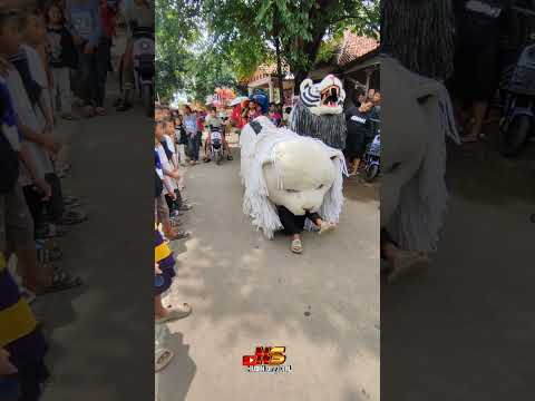 Bocil habis salto langsung di makan can macanan