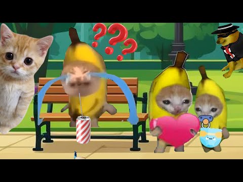 BANANA CAT 🐱 HAPPY AND CRY 😿 VIDEOS 3 ( 2 minutes) #bananacat  #catvideos