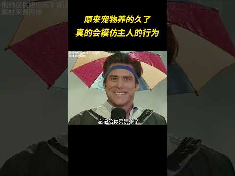 原来宠物养的久了，真的会模仿主人的行为 #离谱 #搞笑