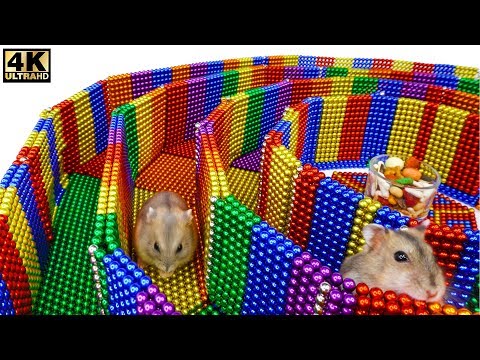 Funny Pet. Build 6-Level Circle Maze For Hamster From Magnetic Balls (Satisfying)| Magnet Satisfying