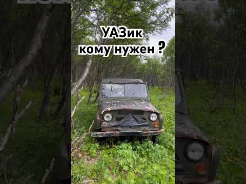 Нашли целый УАЗ в лесу, на ходу  #нашелвлесу #внедорожник #уаз #уазик