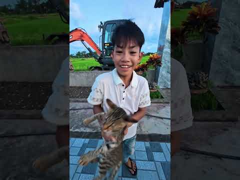 Hậu trường cover : Meo meo meo rửa mặt như mèo 😼 - Chú mèo tội nghiệp ! #shorts