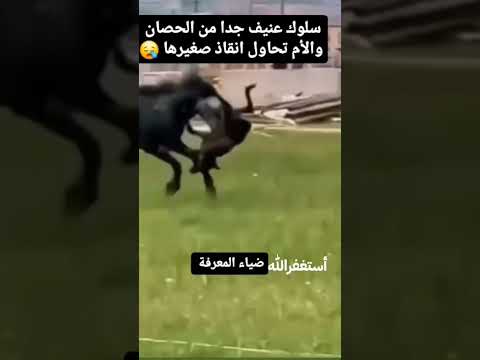 #القرآن_الكريم #سبحان_الله_العظيم 🙄🙄