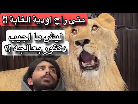 السبب الحقيقي اللي مايخليني اقدر اجيب دكتور لهجّام !