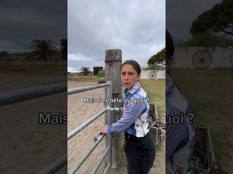 Passe une journée avec les chevaux | partie 1 ! #cheval #chevaldecamargue #voyage #promenadecheval