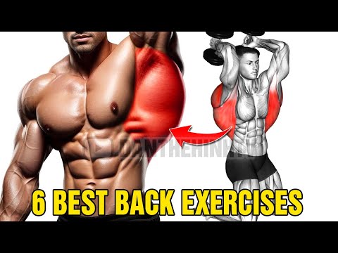 6 Quick Exercises to Get a Big Back