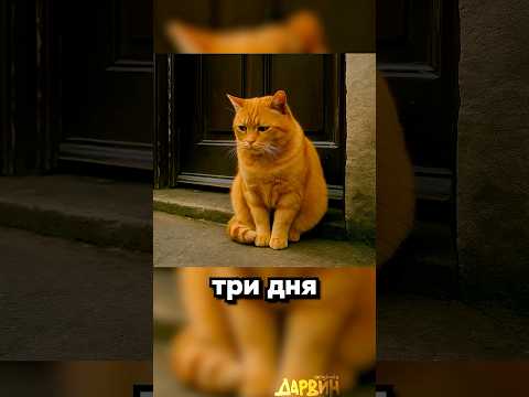 Трогательно
