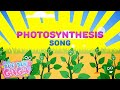 Exploring the Essentials of Photosynthesis