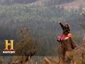 Family Traditions in Logging