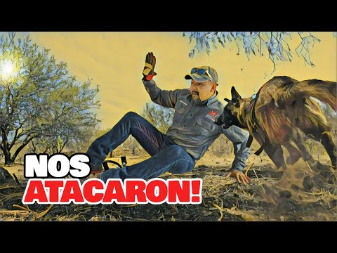Nos ATACARON! Después de Encontrar PLATA en un ANTIGUO Camino REAL!
