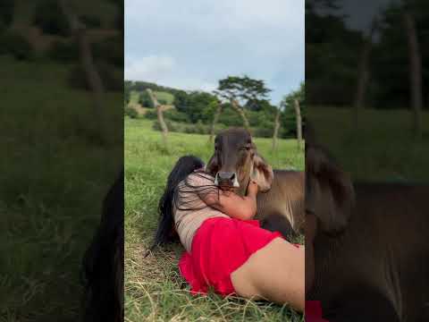 La vida del CAMPO