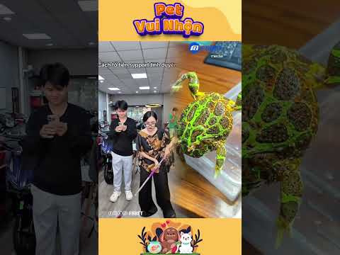 Anh Ếch Lười Làm Tham Ăn Và Cái Kết Phần 232!#Shorts #FunnyFrog #EchThamAn #funny