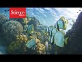 Impact of Human Activities on Ocean Soundscapes
