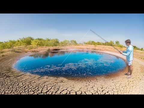 Fishing a Desert Puddle INFESTED With Bass (Texas Drought)