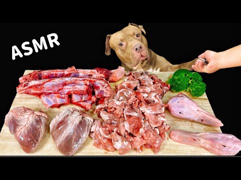 Best Dog MUKBANG PITBULL EATING RAW MEAT PARTS