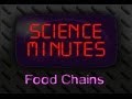 Decomposers and Food Chain Dynamics