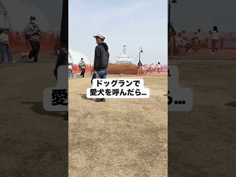 ドッグランでハナを呼んだら…