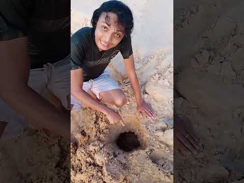 De Onde Vêm os Rios #experimento #biologia #física #educação #ciência