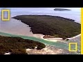Understanding Bull Sharks