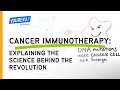 Immunology and Cancer Treatment Concepts