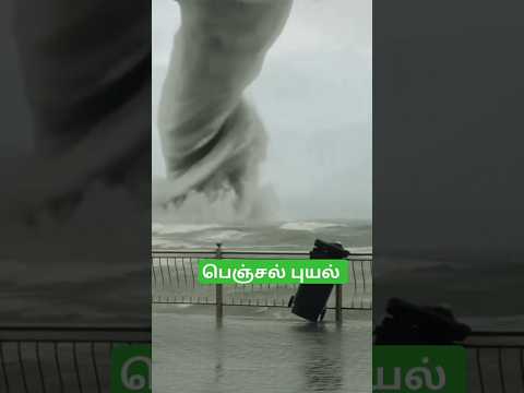 பெஞ்சல் புயல் / penjel piyal heavy rain today #trending #news #shortsfeed #rain #viralvideo