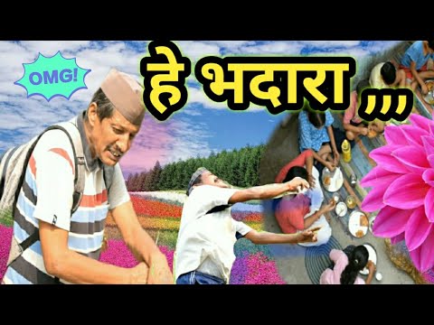भदार || kumauni short film @APNAMAGAL