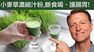 小麥草汁高葉綠素,斷食可喝,修復腸胃與地中海貧血,柏格醫生 Dr Berg