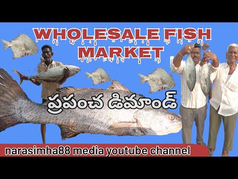 Antarvedi fish market lo arudina cheppalu #సముద్రం -- చేపలు--- రకాలు