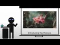 Rococo Art and Design Concepts