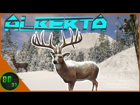 Tree Stand Hunting Whitetails In The Mountains Of Alberta! Call Of The Wild