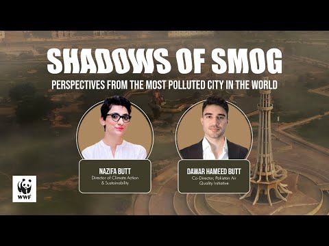 Webinar - Shadows of Smog