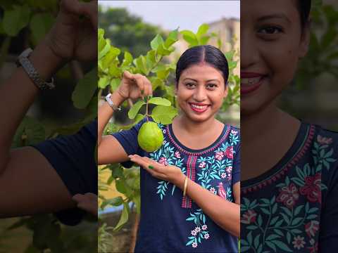 Fresh Guava Chaat 🍐🔥 গাছের পেয়ারা মাখা করলাম 🔥😋 #guava #guavachaat #hungrylife #chaat #spicy #plants