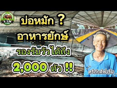 บ่อหมักอาหารยักษ์ที่รองรับวัวได้ถึง 2,000 ตัว ? และนี่คือหัวใจหลักของฟาร์ม"ศรีภักดีฟาร์ม
