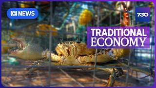 YouTube video thumbnail:  Mud Crabs Caught With Pride Could Change This Community's Future