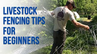 Fencing 101: A Beginner’s Guide to Livestock Fencing