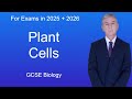 Plant Cell Structures and Functions