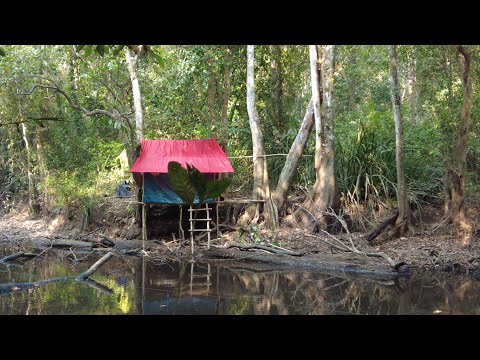 BERBURU BIG FISH DI TENGAH MALAM HUTAN RAWA DAN MEMBUAT SHELTER ( PONDOK BERMALAM )