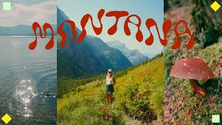 montana ⛰ yellowstone & glacier national park
