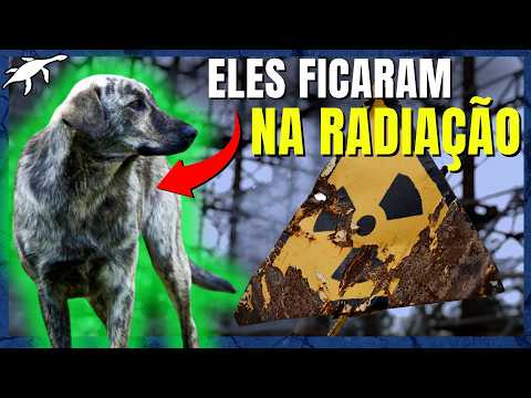 Os ANIMAIS MUTANTES de CHERNOBYL