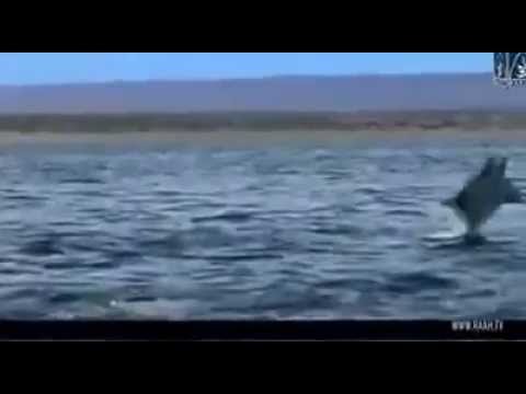 اسماء الله الحسنى بصوت مؤثر