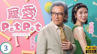 TVB時裝喜劇 | 寵愛Pet Pet 03/20 | 林夏薇(惠婷)與周嘉洛(聲仁)為冬甩打賭 | 林夏薇 | 周嘉洛 | 姜大衞 | 黃子恆 | 粵語中字 | 2023