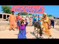 yogi Bhootna Shoki, Sanam , Bilo , Malangi &  Muskan , Nomi , New Funny Video By Rachnavi Tv2
