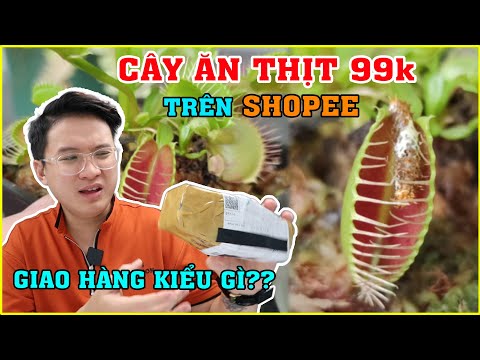 Thử mua Cây Ăn Thịt trên SHOPEE giá 99k. Cái kết Không Thể Tin Được | MUA HÀNG ONLINE