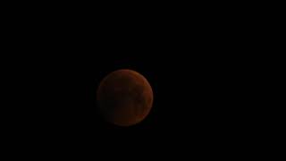 NIR 6561 - Total Lunar Eclipse - January 21, 2019 -1080p 60fps - full spectrum - part 15