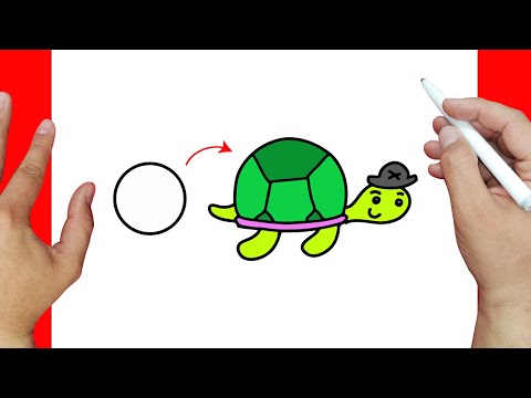 Cómo dibujar una Tortuga Pirata | Dibujos fáciles