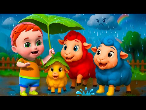Rain Rain Go Away !  (Animal Version ) | Baa Baa Color Sheep | Nursery Rhymes and Kids songs
