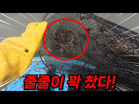 장마 기간 동안 한 번도 못 본 통발을 봤더니..미쳤다ㄷㄷ