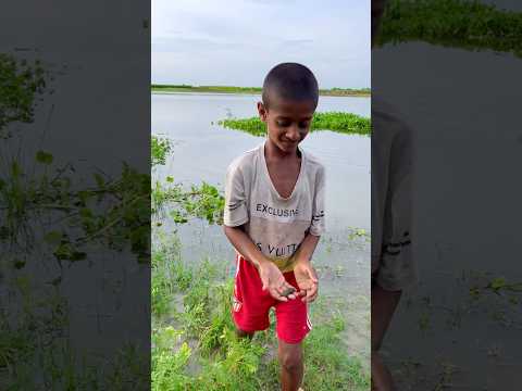 পদ্মা থেকে ভাইটা হাতদিয়ে কি মাছ ধরলো🐟🤔(522) bangla village fishing video #villagefishing
