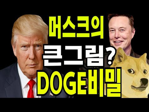 비트코인 리플  이더리움  🔥 머스크의  큰그림과  DOGE코인?🔥