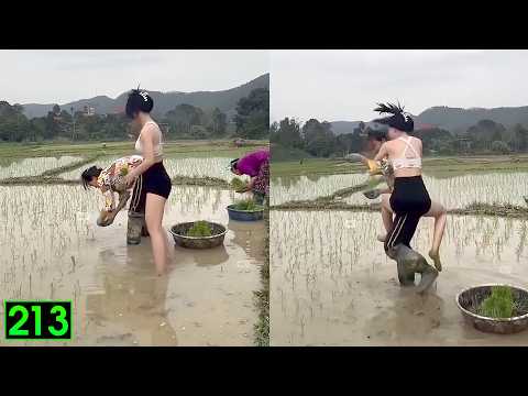 Tin Việt 2026 Mới Nhất | Những Thằng Ngu Nhất Hành Tinh Cười Vỡ Bụng ( P213) ✔🔥